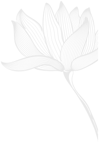 contact form background